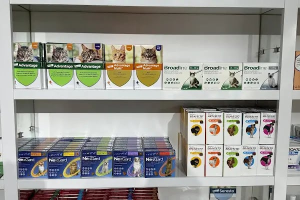 My Vet Veteriner Kliniği (since 2017) - Resim 16