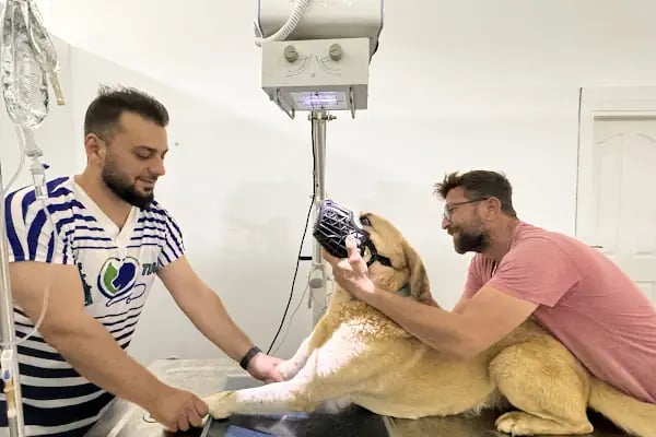 My Vet Veteriner Kliniği (since 2017) - Resim 1