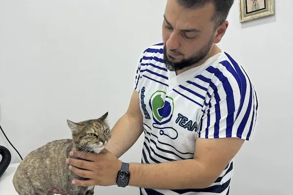 My Vet Veteriner Kliniği (since 2017) - Resim 4