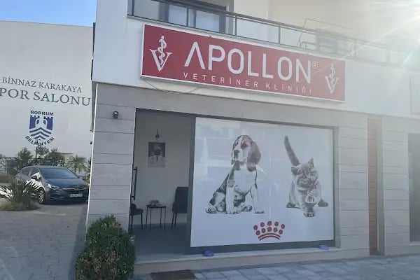 APOLLON VETERİNER KLİNİĞİ BODRUM - Resim 5