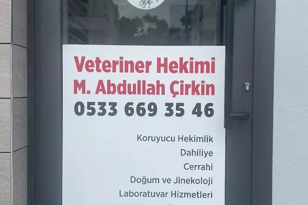APOLLON VETERİNER KLİNİĞİ BODRUM - Resim 6