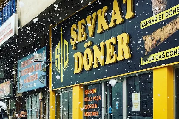 Şevkat Döner - Resim 2