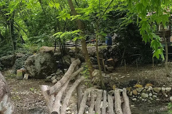 Beşoluk Canlı Alabalık Restoran - Resim 11