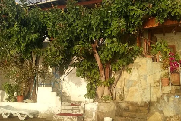 Gümüşlük Belediyesi - Resim 6