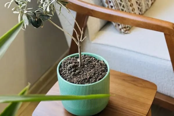 Opia Psikoloji Merkezi - Resim 4