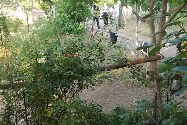 BABAT ÇİFTLİ Ğİ - Resim 3