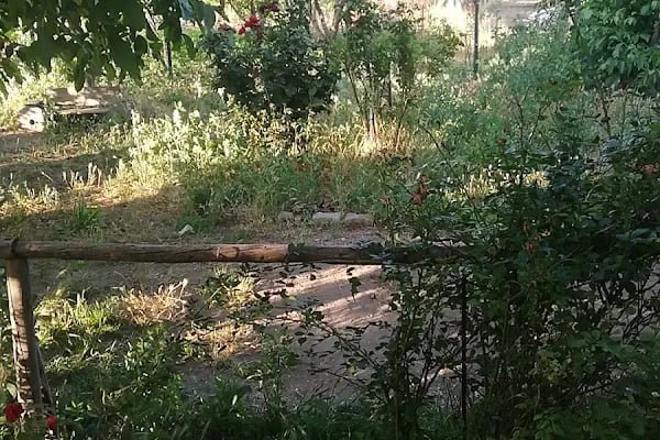 BABAT ÇİFTLİ Ğİ - Resim 2
