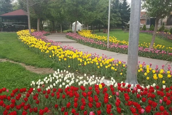 Hacettepe Üniversitesi Sıhhıye Kampüsü - Resim 10
