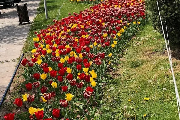 Hacettepe Üniversitesi Sıhhıye Kampüsü - Resim 11