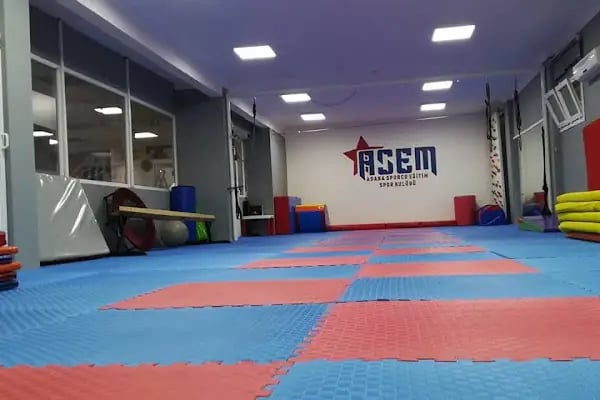 Asem Adana Sporcu Eğitim Spor Kulübü - Resim 2
