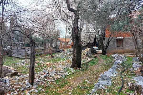 Çöğmen İlköğretim Okulu - Resim 5