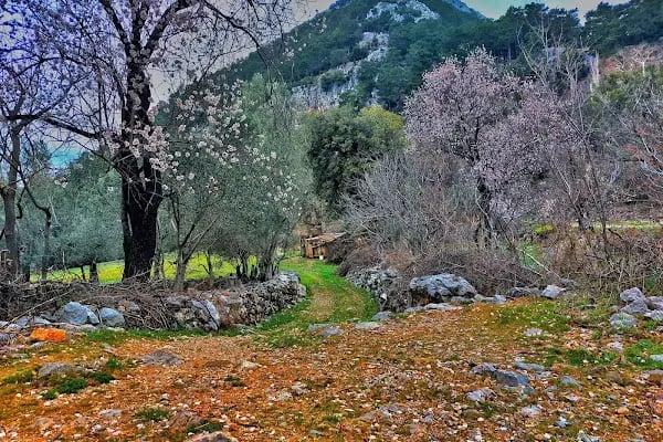Çöğmen İlköğretim Okulu - Resim 4