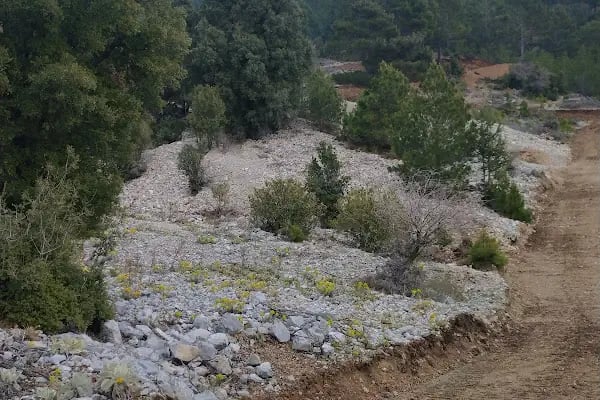 Çöğmen İlköğretim Okulu - Resim 18