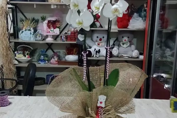ZAMBAK ÇİÇEKÇİLİK ŞANLIURFA Karaköprü Güzelşehir Doğukent - Resim 16
