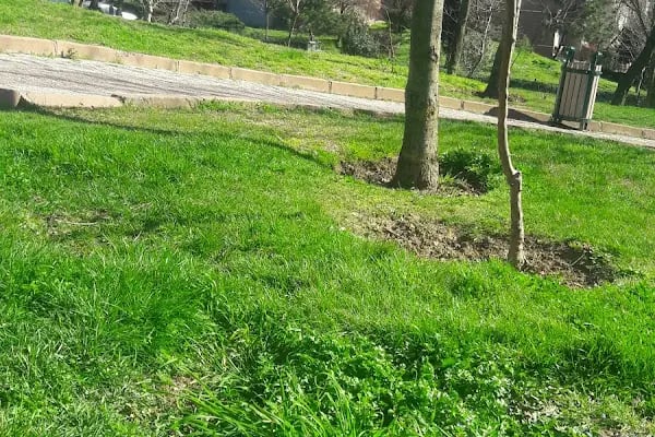 12 Temmuz Şehitler Parkı - Resim 5