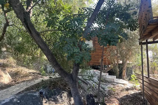 Demre Karabibik Bungalow Otel Apart ve Pansiyon - Resim 19