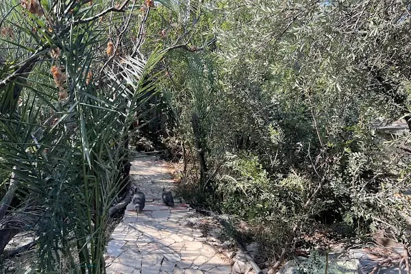 Demre Karabibik Bungalow Otel Apart ve Pansiyon - Resim 18
