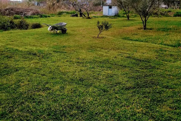 Altınkent Tatil Sitesi - Resim 5