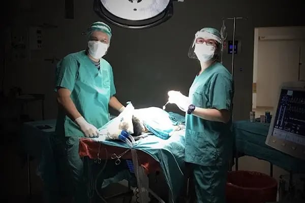 Dentform Ağiz Ve Diş Sağlığı Polikliniği - Resim 7