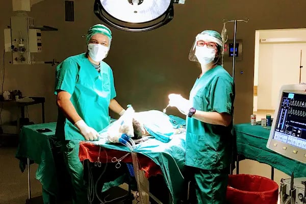 Dentform Ağiz Ve Diş Sağlığı Polikliniği - Resim 3