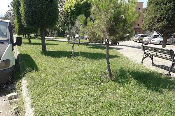 AYIŞIĞIM PANSİYON - Resim 5