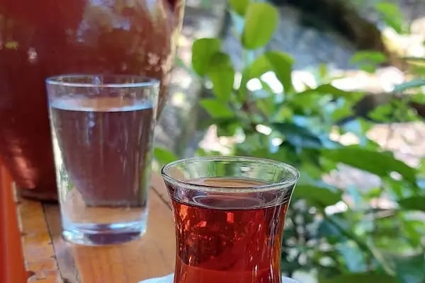 Altındere Karcı Alabalık Tesisleri - Resim 7