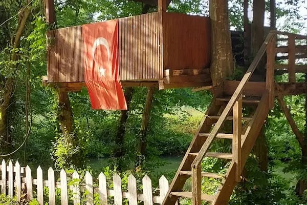 Altındere Karcı Alabalık Tesisleri - Resim 5