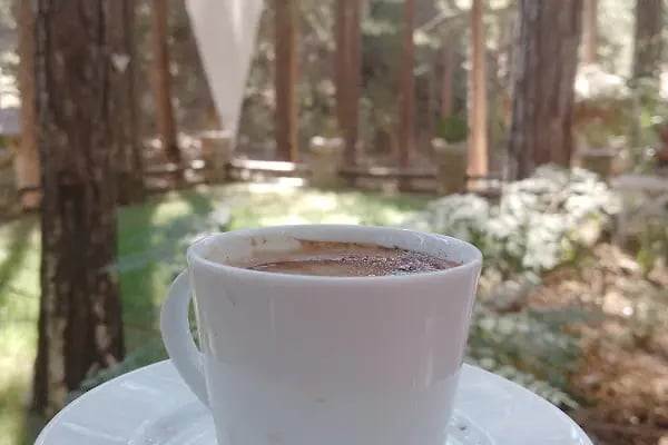 Crepe's French House - Resim 17