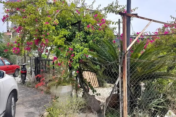 Anamur Düşbahçem Peyzaj - Resim 3