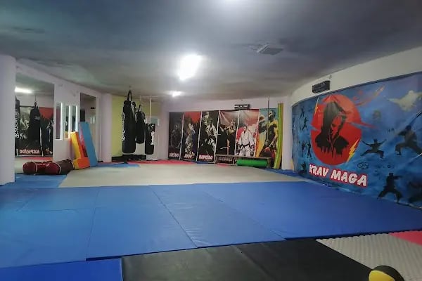FREE FİGHT KRAVMAGA ACADEMY - Resim 3