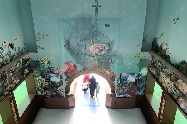 Bursa Cihan Akvaryum & Petshop - Resim 8