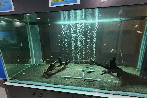 Bursa Cihan Akvaryum & Petshop - Resim 20