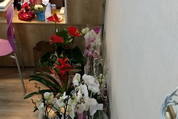Dentplant Ağız Ve Diş Sağlığı Polikliniği - Emre YANARAL - Resim 15