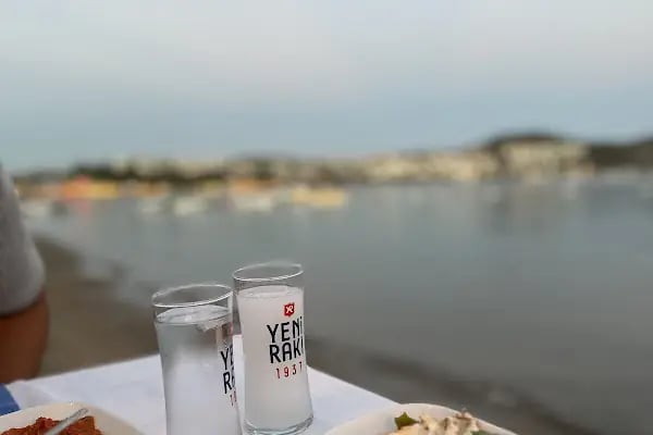 Mahperi Bitez - Semtin Meyhanesi - Resim 19