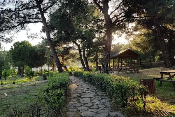 Kapıçam Tabiat Parkı - Resim 17