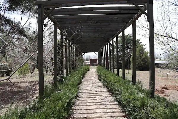 Kapıçam Tabiat Parkı - Resim 11