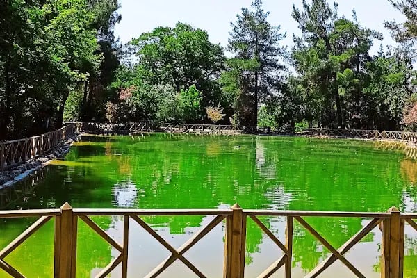 Kapıçam Tabiat Parkı - Resim 2