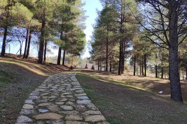 Kapıçam Tabiat Parkı - Resim 6