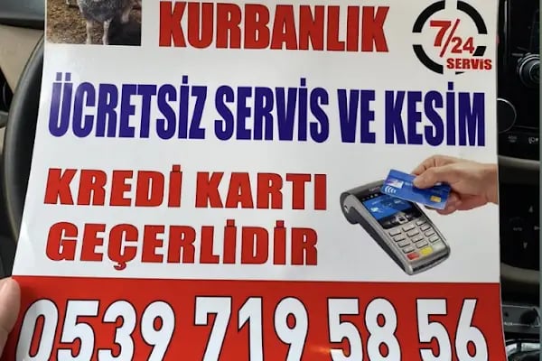 Beşiktaş Adak Kurbanlık - Resim 19