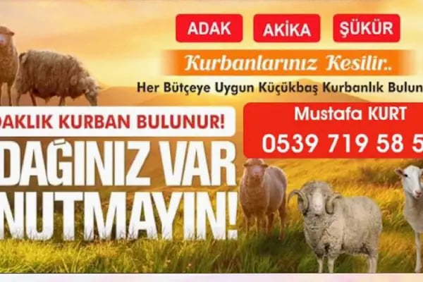 Beşiktaş Adak Kurbanlık - Resim 13