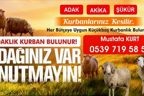 Beşiktaş Adak Kurbanlık - Resim 14