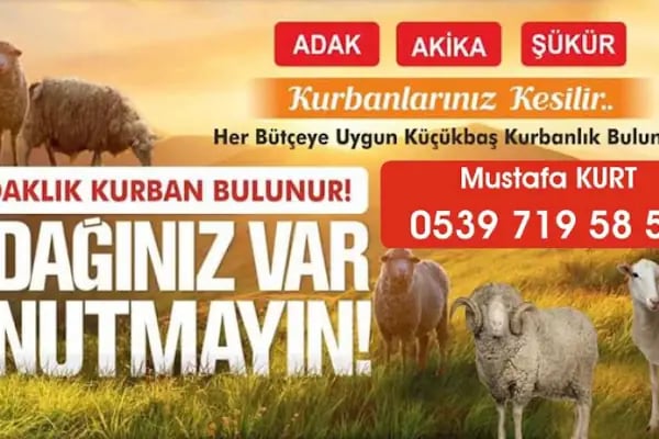 Beşiktaş Adak Kurbanlık - Resim 11