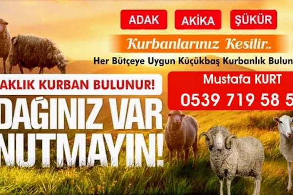 Beşiktaş Adak Kurbanlık - Resim 9