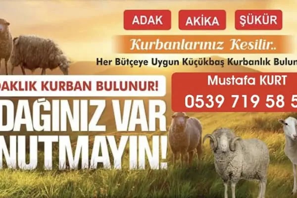 Beşiktaş Adak Kurbanlık - Resim 12