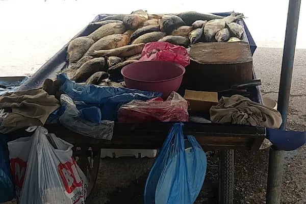 Akpınar Market - Resim 7