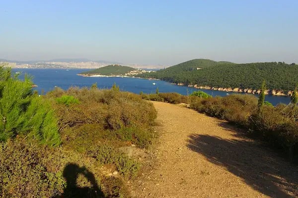Adalar Su Sporları Derneği - Resim 4