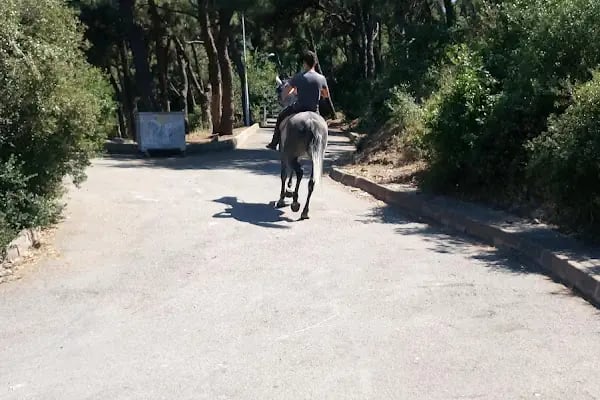 Adalar Su Sporları Derneği - Resim 10