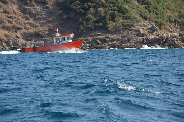 Kılıç Deniz - Resim 7