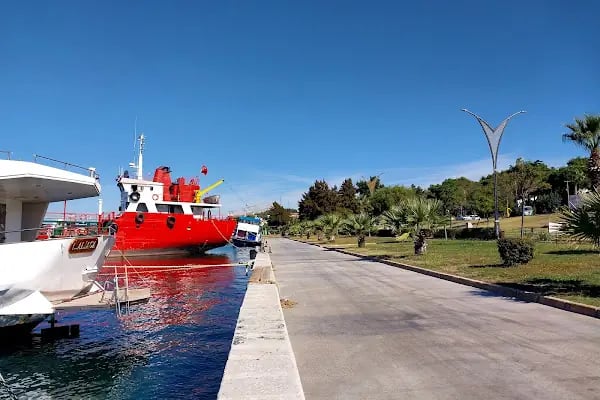 ALPAYLAR Zeytinyağı Fabrikası & SATIŞ NOKTASI - Resim 19