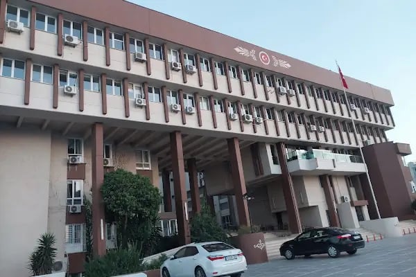 ALPAYLAR Zeytinyağı Fabrikası & SATIŞ NOKTASI - Resim 9